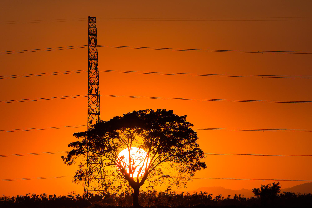From first product to utility operations: the BPS–Sotex partnership